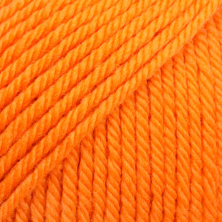 Daisy 23 Orange