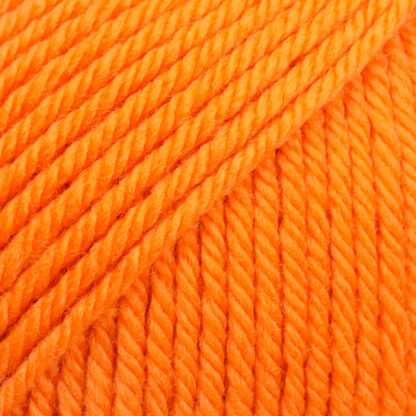 Daisy 23 Orange